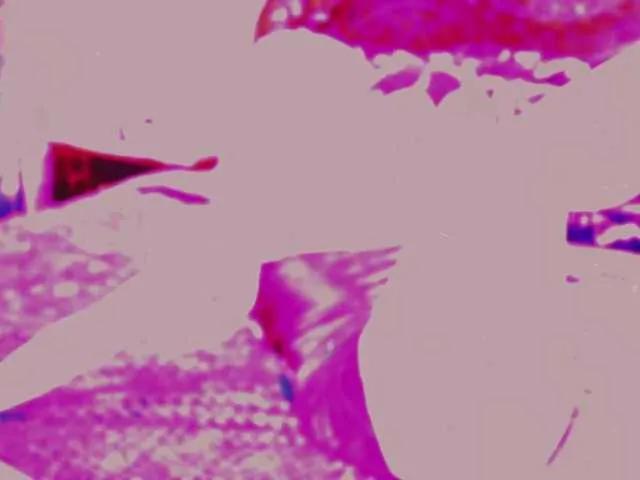 LollyGirlMoon from BongaCams