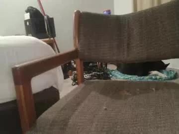 Freechat calisguitar on Chaturbate