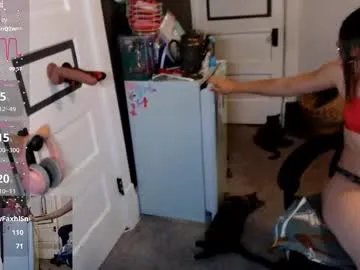 Freechat kierbearkisses on Chaturbate