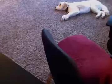 willwill2222 on Chaturbate 