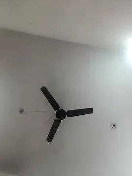 Appypie on StripChat