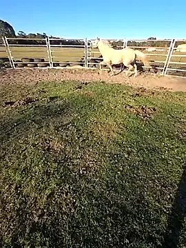 Freechat brokecountrylads on StripChat