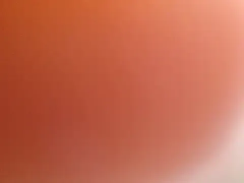 DominiqueLuxe44
