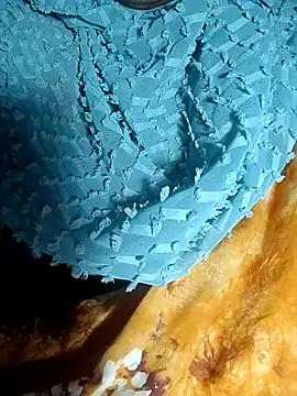 StripChat Hotty-Monaa is Freechat Hotty-Monaa — Boobs show