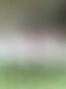 Freechat kiken5868 on StripChat