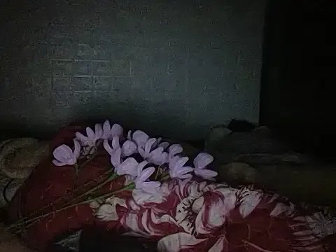 Freechat May2k2 on StripChat