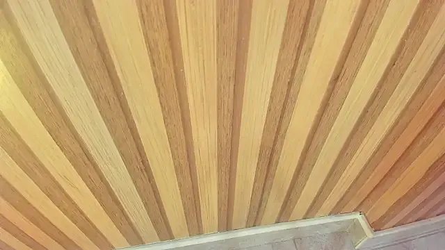 Freechat mia__blaze__ on StripChat