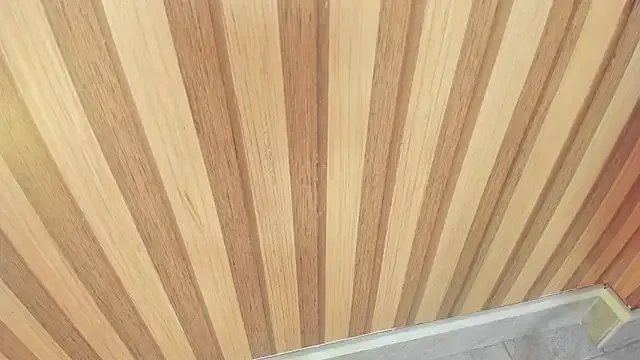 Freechat mia__blaze__ on StripChat