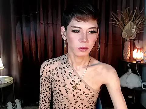 MissTransStella69 from StripChat is Freechat