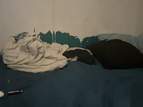 Freechat SpunFunCouple323 on StripChat